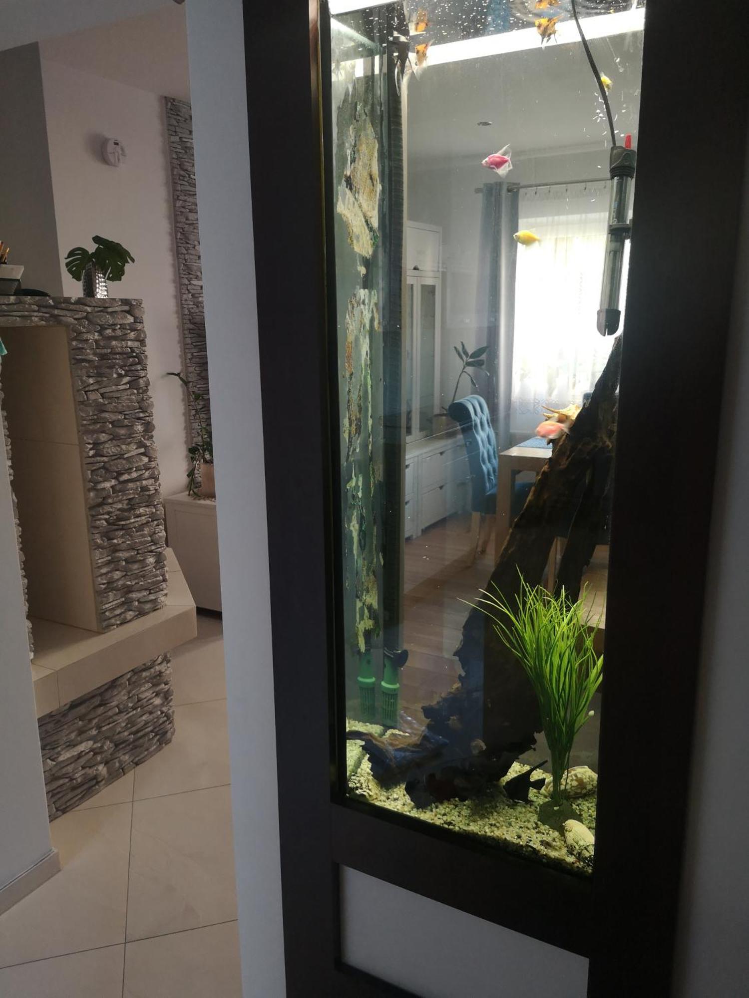 Apartamento Yesplease Gizycko Mazury Exterior foto